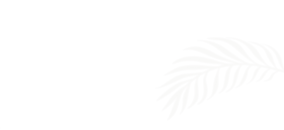 PalmStrip-2.png