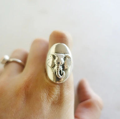 tsavo ele shield ring.jpg