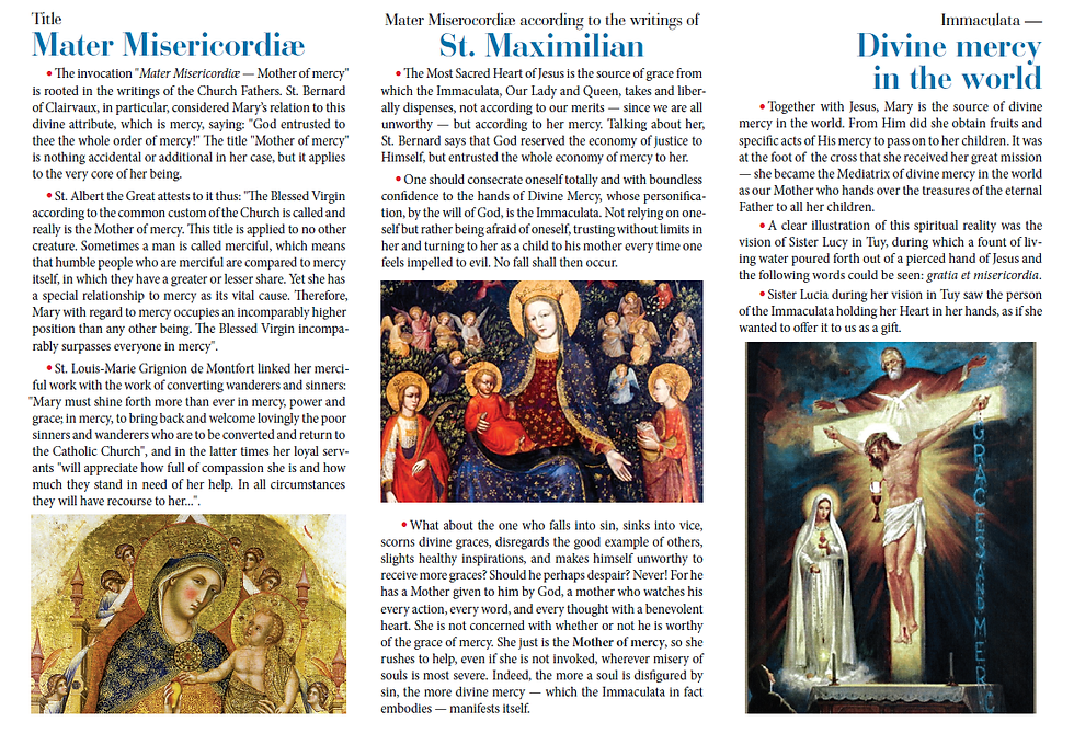 Thumbnail: Flyer- Mater Misericordiae