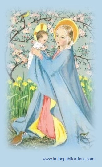 hail mary in latin pdf hail mary in latin pdf