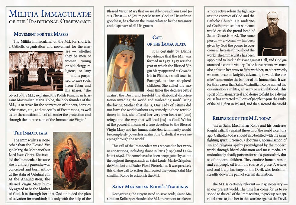 I am the Immaculate Conception
