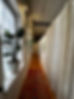 IMG_7976.jpeg