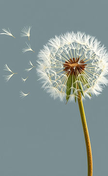 can you make an image similar to the current one i have in place of the dandelion puff wit