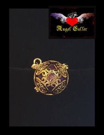 16938682_10155063454267070_8120682867102929494_n