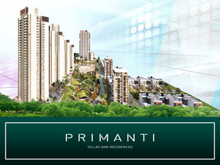 Tata Primanti - A Ladder to Success
