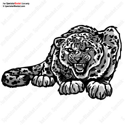 Jaguars_leopards_cheetahs_002