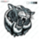 Tiger_020
