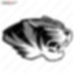 Tiger_011