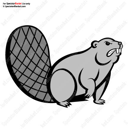 Beaver_003