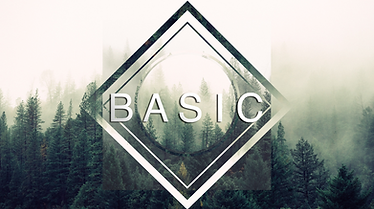 BasicNoFollowers.png