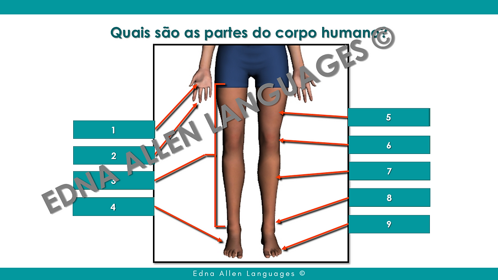 Miniatura: Português Situacional: Hospital e Saúde