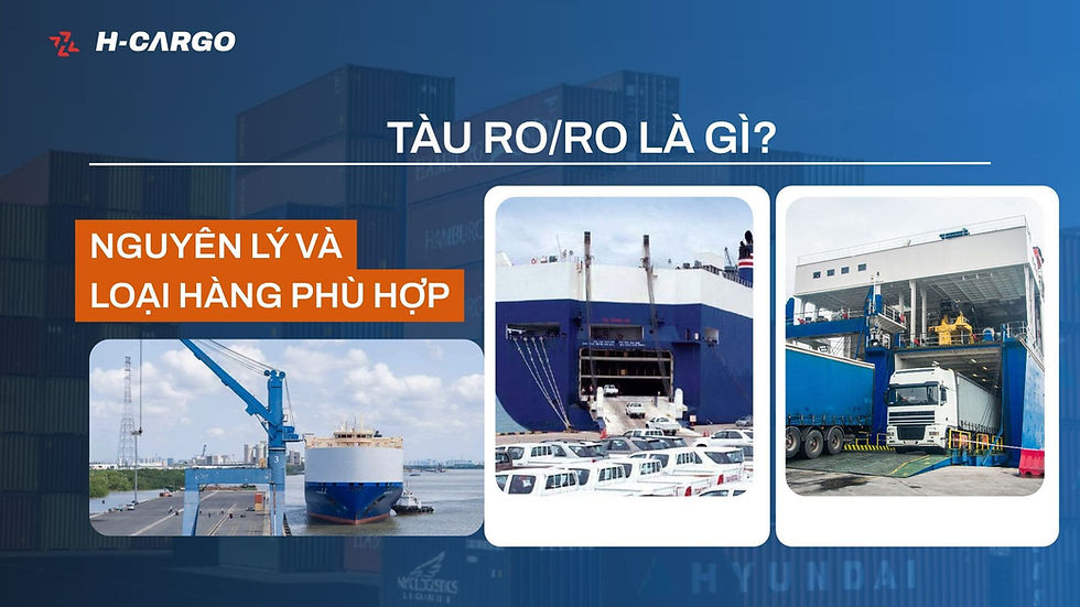 Tàu RO/RO là gì? Nguyên lý, loại hàng phù hợp và tuyến khai thác tại Việt Nam