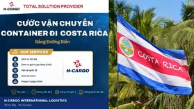 Cước vận chuyển container đi Costa Rica bằng đường biển - quốc kỳ Costa Rica và hàng dừa nhiệt đới