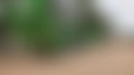 Rơ moóc lùn nhiều trục có cầu dẫn thủy lực phía sau, dùng chở máy công trình và hàng siêu trọng