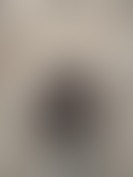 The Power of Cow Manure