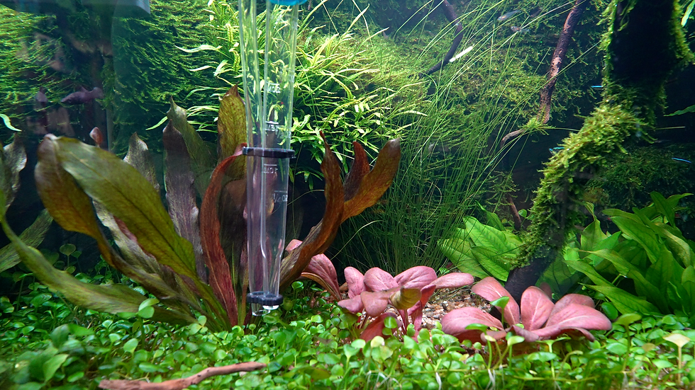 Miniaturbild: AQUAddicted! Multi Baster