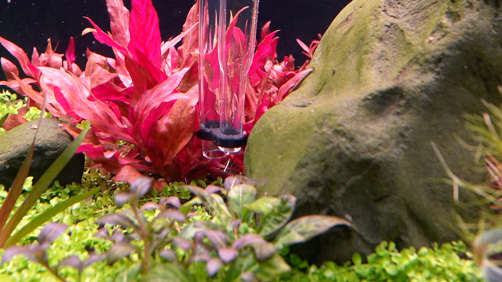 Miniaturbild: AQUAddicted! Multi Baster