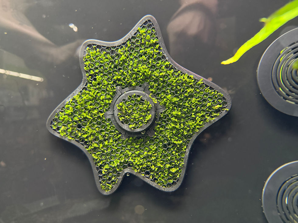 Miniaturbild: Magnetic Moss Grid Nr.4