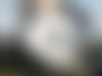 🟩 GreenBricks Building of the Week 🟩 Serena Williams Building