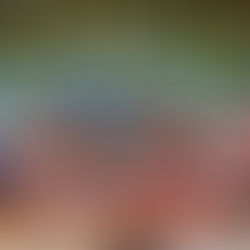 Goes to Maestro Aerli Rasinah