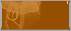 jellyfish.gif
