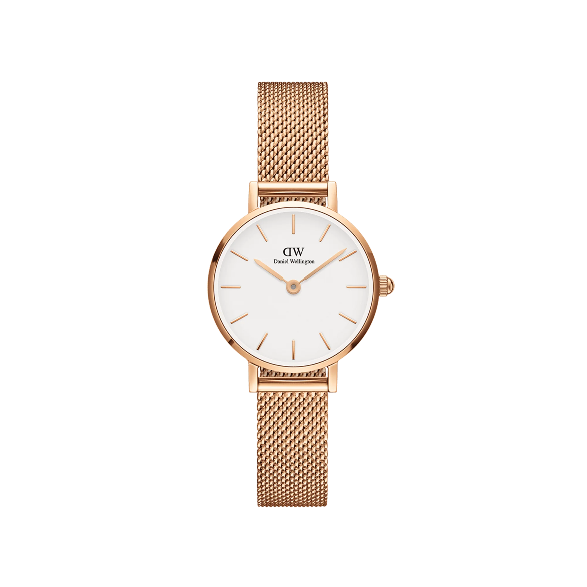 Daniel Wellington Petite Orologi 24mm Double Plated Stainless Steel (316L) Rose Gold : Daniel Wellington