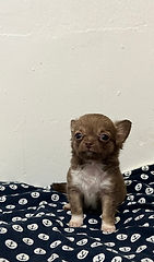 IMG_5782_edited.jpg