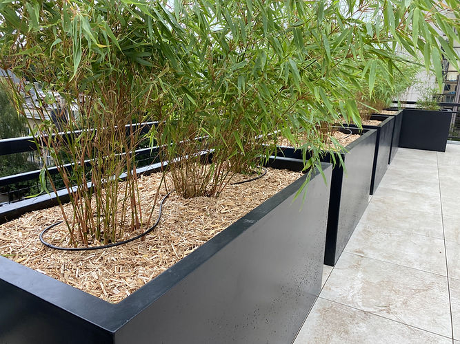 Bacs plantation alu