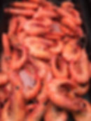 NSW King Prawns