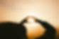 chang-duong-ZshVGzJ6a_s-unsplash.jpg