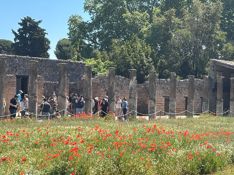 Travel:Pompeii Italy. 04/25-26/2026