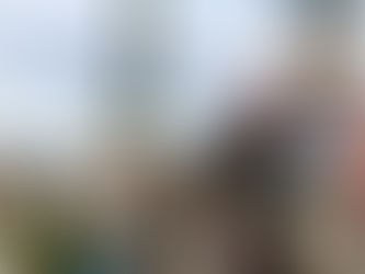 Travel:Punta Arenas, Patagonia.     Chile, Nov 7/2025