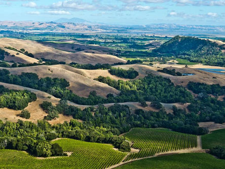 Travel:Sonoma, CA. Jan. 29-31/2026