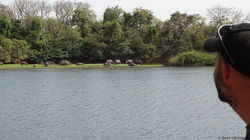 Inventaire grande faune - Guinée 2020