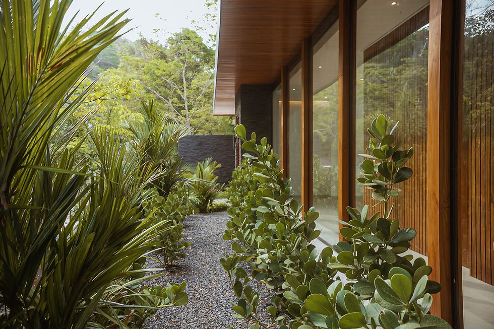 240509 Bosque Verde-11.jpg