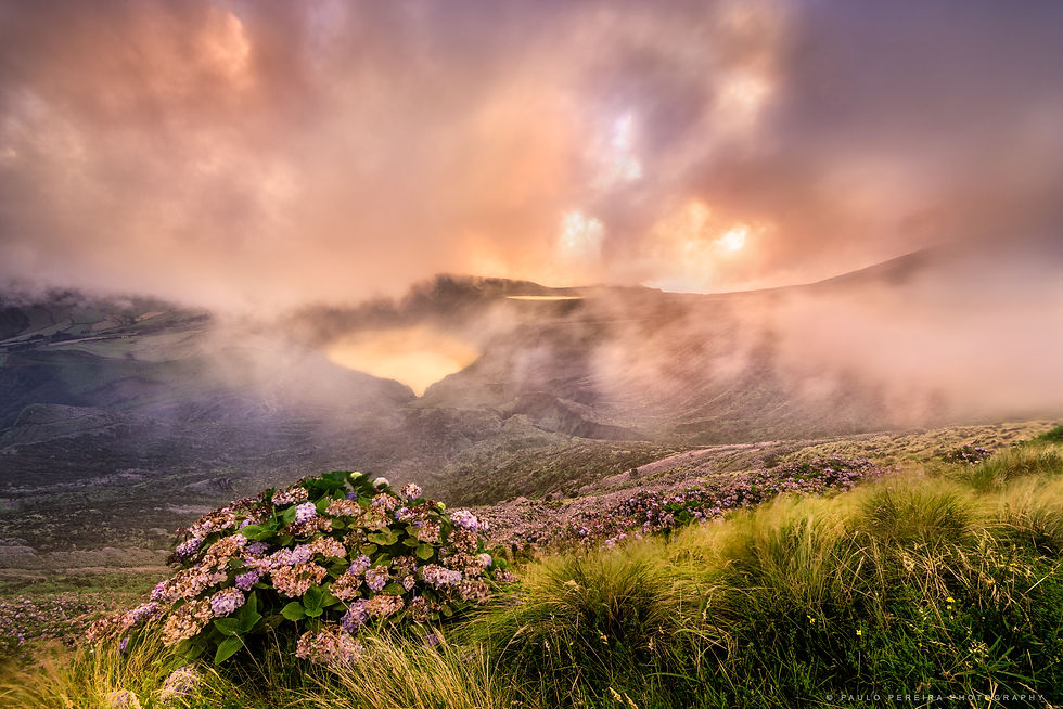 Lagoa funda e rasa | Flores
