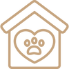 cat 1.png