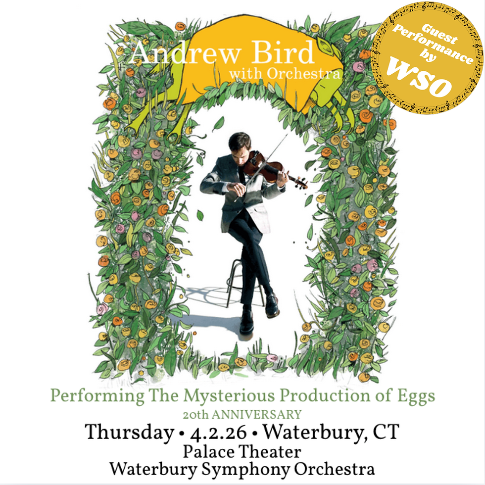 Andrew Bird with WSO as Guest Orchestra:  Join us at the Palace Theater as we perform as Guest Orchestra