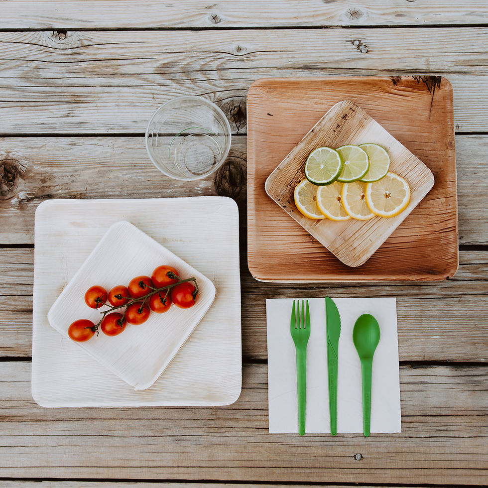Thumbnail: Sustainable Tableware 10" Palm Leaf Plate