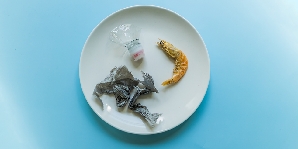 A white plate on a blue background holds plastic waste and a shrimp, illustrating how single-use plastics in food service contribute to microplastic pollution in oceans.