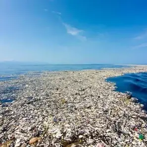 Plastic pollution in the ocean
