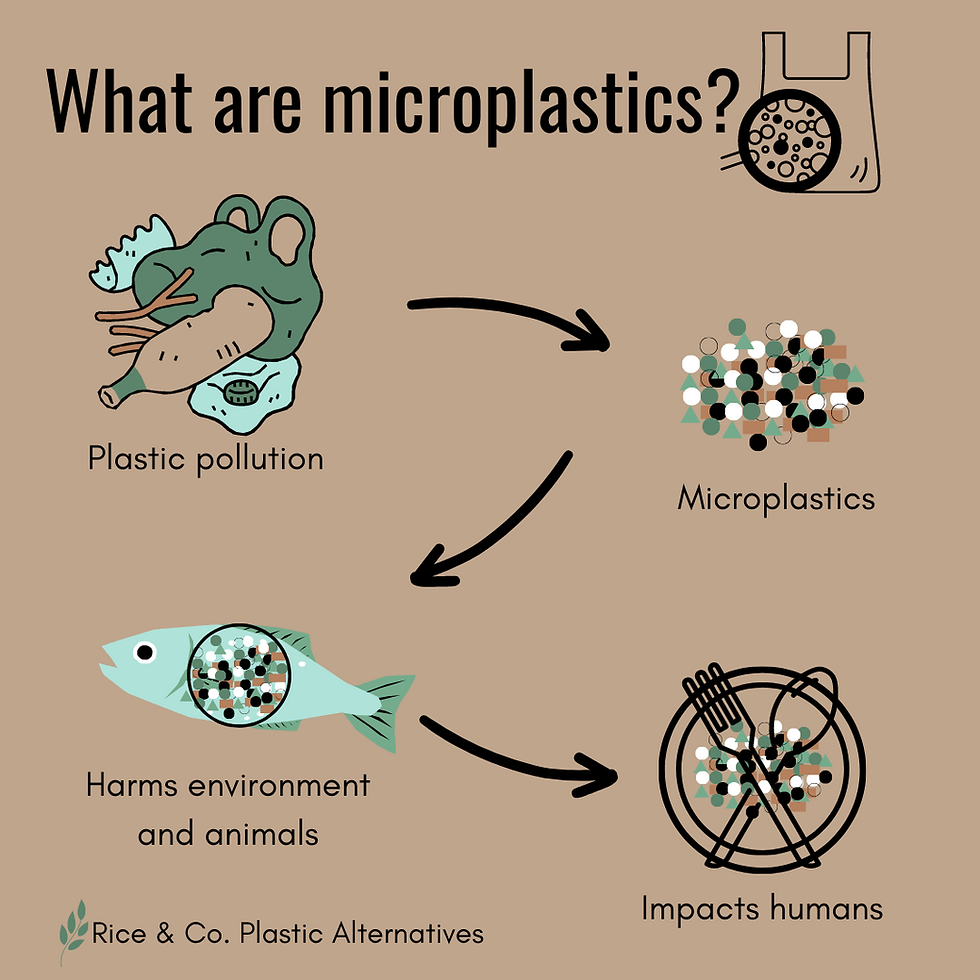 A Beginner S Guide To Microplastics What Are They And Why Are They A A Beginner S Guide To Microplastics What Are They And Why Are They A