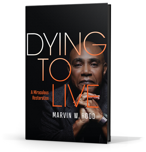 Cover (3D).png