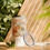Thumbnail: Fall Season Stainless Steel Ringneck Tumbler - 20oz
