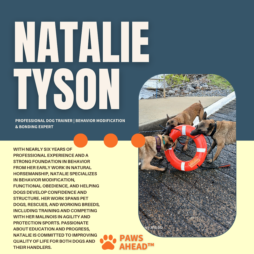 Brown and Black Typographic Intro Bio Instagram Post (6).png