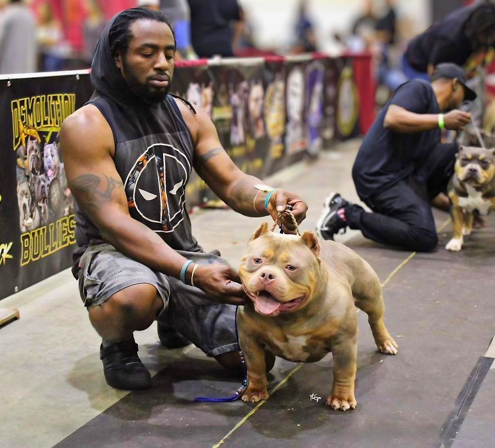 Untitled design - 2026-05-11T180320.666.png