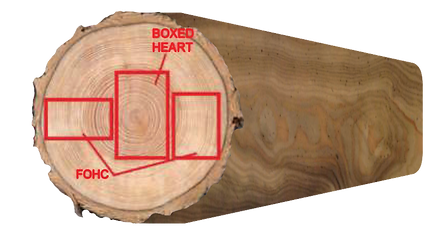 Untitled design (24).png