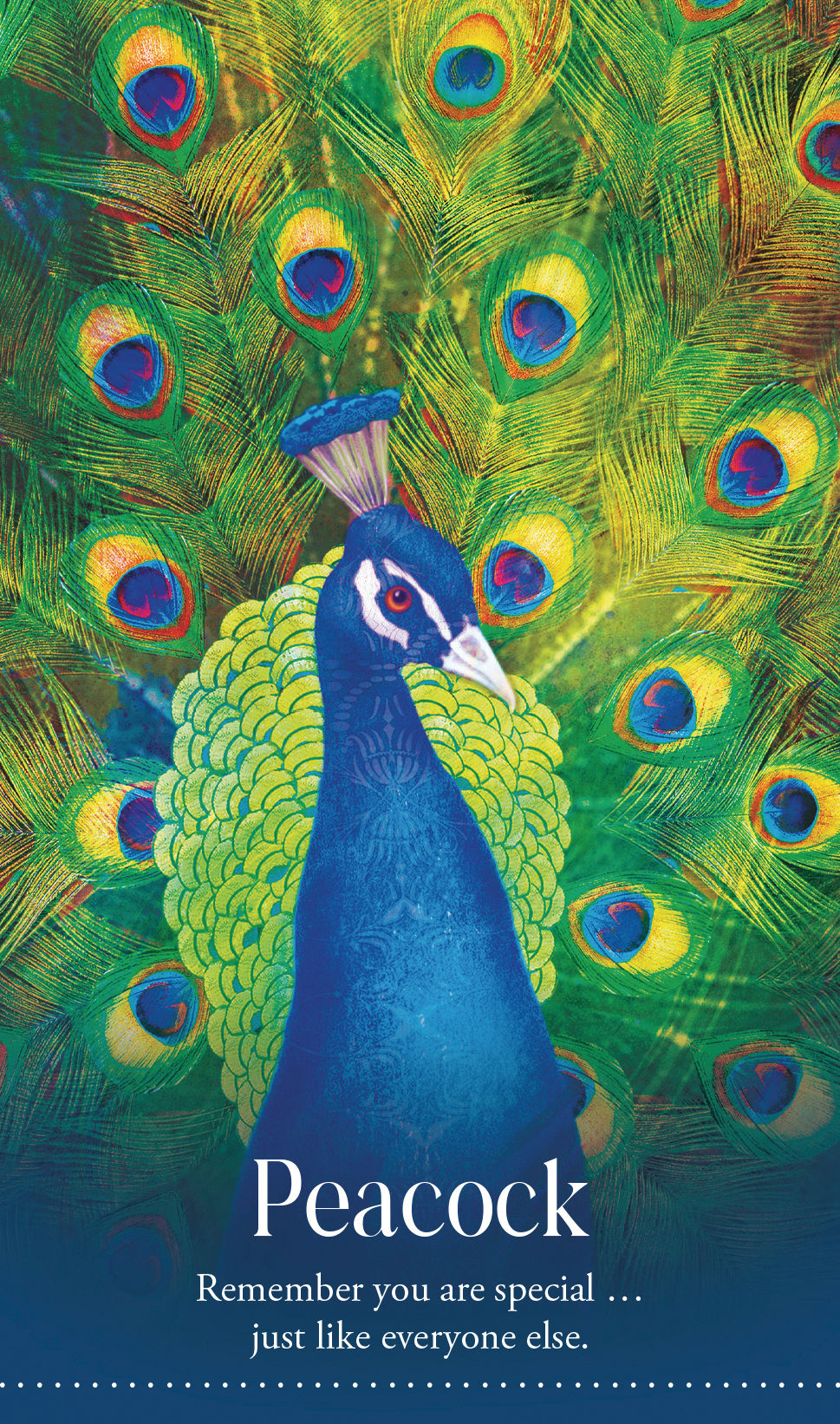 Thumbnail: Wild Dreams Animal Oracle