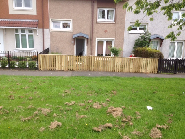 image12