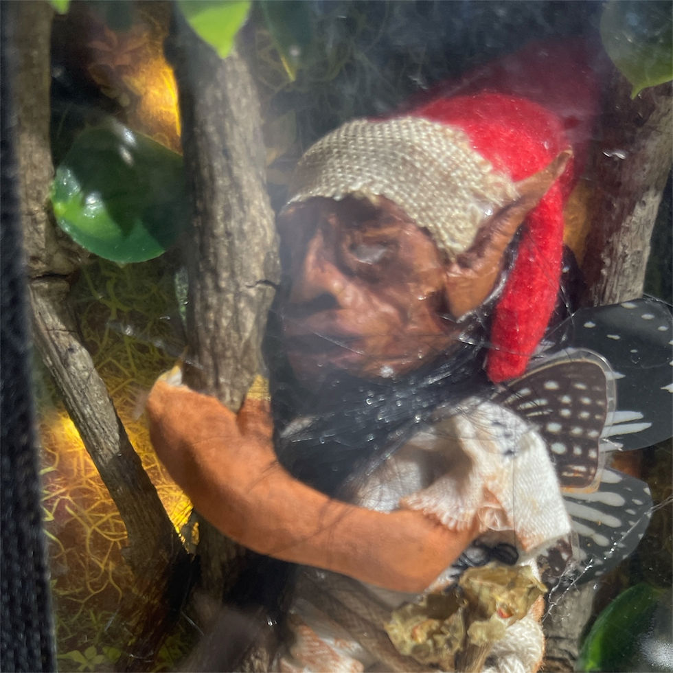 Thumbnail: Shroom Fairy In A Box